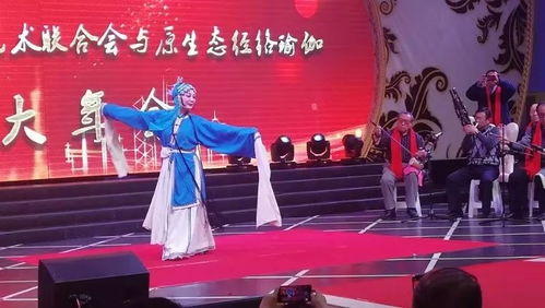 呼市民間文藝團(tuán)隊才藝展示迎新年 文化藝術(shù)交流活動