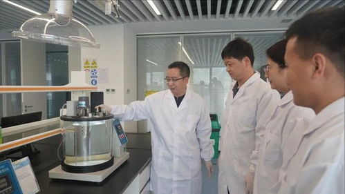 陜煤集團獲省級五一勞動表彰 新材料技術研發的領軍力量